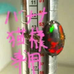 バナナ猫様 リクエスト 3点 まとめ商品