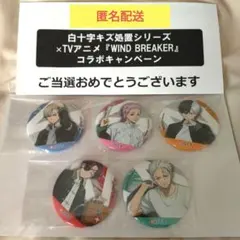 2025年最新】WINDBreaker 缶バッジの人気アイテム - メルカリ