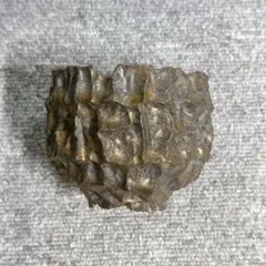 2025年最新】安西岳郎の人気アイテム - メルカリ