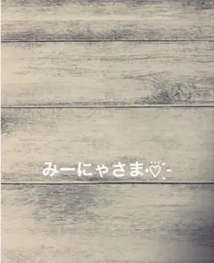 みーにゃさま専用ページ