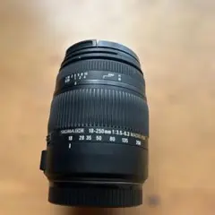 SIGMA 12-24mm II DG HSM キャノン CANON #2010 - メルカリ