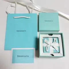 新品[TIFFANY & Co.] ティファニー シルバージュエリー ケアキット
