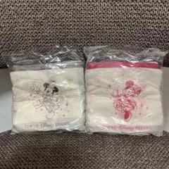 ディズニー40周年グランドフィナーレエコバッグ　ミッキー　ミニー