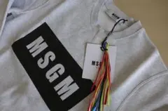 Item thumbnail for item 2985076e-2e10-4872-9645-de75b517b833