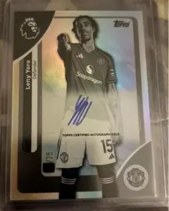 Item thumbnail for item 12dff38d-5488-4f59-8add-028c8ccb7cbc