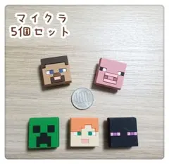 ジビッツ M サンダル 飾り 3D 新品 クロックス チャーム 5個セット