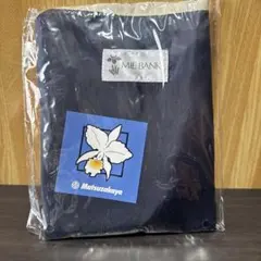 Item thumbnail for item b7d566a1-0495-45b4-b18e-41cd5daaeb1c