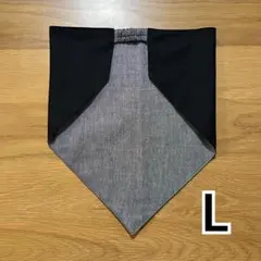 Item thumbnail for item 33901d7f-1a20-4905-b808-f535ede6191e