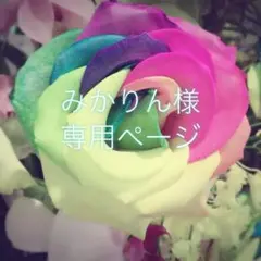 みかりん様　専用ページ