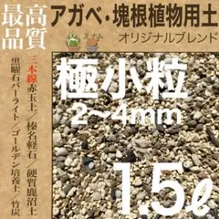 2026年最新】アガベ高級株の人気アイテム - メルカリ