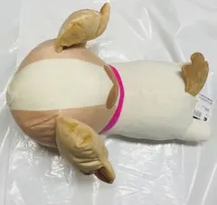 わんだふるぷりきゅあ！めちゃもふぐっとぬいぐるみ 犬飼こむぎ くつろぎスタイル