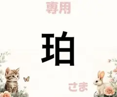 専用