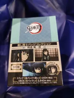 鬼滅の刃 推し隊士バッジコレクション 時透無一郎 鬼滅 缶バッジ