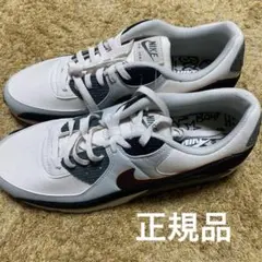 Nike Air Max 90 PRM ファントム 32cm