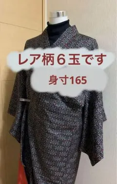 レア　秋名バラ　６玉　8.1.9