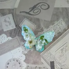 Item thumbnail for item 49674552-4781-435f-95e3-c5ae84d26d08