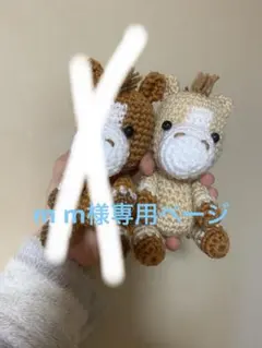 m m様専用のページです。リングのお馬さんラトル