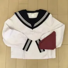 Item thumbnail for item 46e21972-3b4b-4587-8d61-544d694bc699