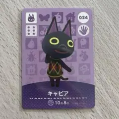 【匿名配送】amiiboカード　キャビア　あつまれどうぶつの森