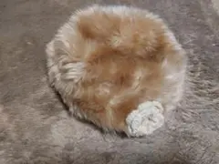 Item thumbnail for item 2e8a88ea-1c0e-4e5b-8659-0dc4247f62be