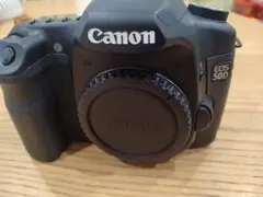 Item thumbnail for item 843cf8df-5861-47a8-8425-cab8b6258c28