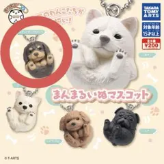 2025年最新】まんまるいぬの人気アイテム - メルカリ