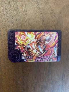 ポケモンフレンダ第５弾　スーパートレジャーポケモン　ウガツホムラ