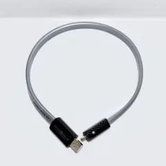 WireWorld Platinum Starlight ジャンクのサムネイル