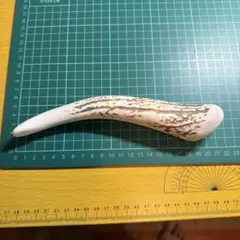 エゾ鹿　鹿茸・袋角　(3本 約2.8ｇ) エゾ鹿 鹿茸・袋角 (6本 約1480g) - メルカリ