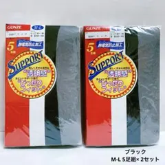 GUNZE サポート　ストッキング　ブラック　M-L 5足組2セット　合計10足