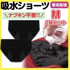 Item thumbnail for item 260db648-277e-4b72-9a02-a6b5cba1ee48