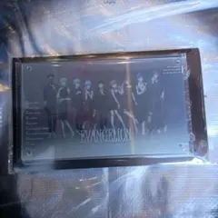 限定アクリルパネル　EVANGELION Light＆Shadow ANiMEL