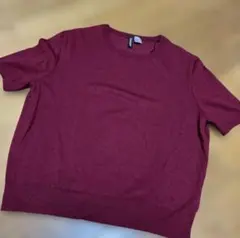 トップス ニット 半袖で