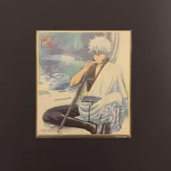 銀魂 神楽 BIG色紙 アニメイト アニくじ 坂田銀時 誕生日 - メルカリ