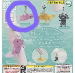 ウーパールーパー アピるチャーム ピンク ①なに？