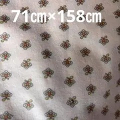 ハギレ　はぎれ　生地　　布　収縮性あり　模様　ニット生地？