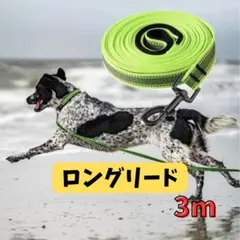 Item thumbnail for item ecbafceb-e051-40d2-bbb1-20dc41b1ee0b