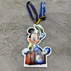 ディズニー バケーションパッケージ パスケース