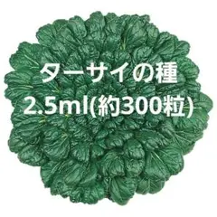 ＜野菜の種＞約300粒　タァツァイ　2.5ｍｌ中国野菜　ターサイ　タアサイ