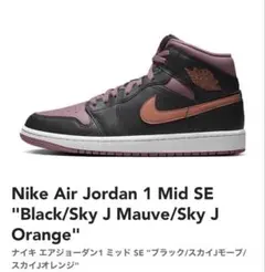 未使用品‼️ Nike Air Jordan 1 Mid SE