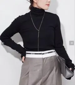 新品　Plage super100s jersey turtle ニット