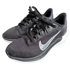 NIKE ウィンフロー9 23cm ブラック DD8686-001のサムネイル