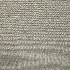 らいでん様専用