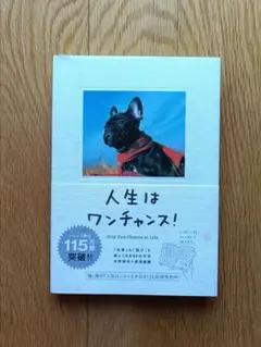 人生はワンチャンス!