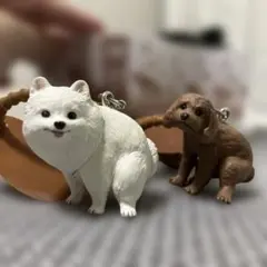 ふんばり〜ぬ　どこでもふんばり〜ぬ　トイプードル　ポメラニアン　ガチャガチャ