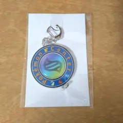 【未開封】ポケモンセンター メガシンカ キーホルダー