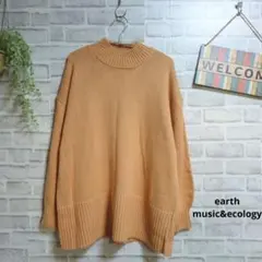 アース ハイネックニット 美品 袖ボリューム スリット 大人可愛い ゆったり F