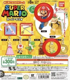 スーパーマリオ めじるしアクセサリー2