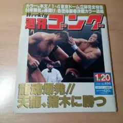 【即購入OK】週刊ゴング No.496 1994年1月20日号 アントニオ猪木