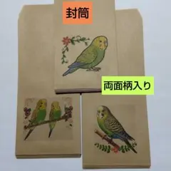 封筒　セキセイインコ　30枚